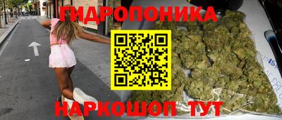 гашик Волжск