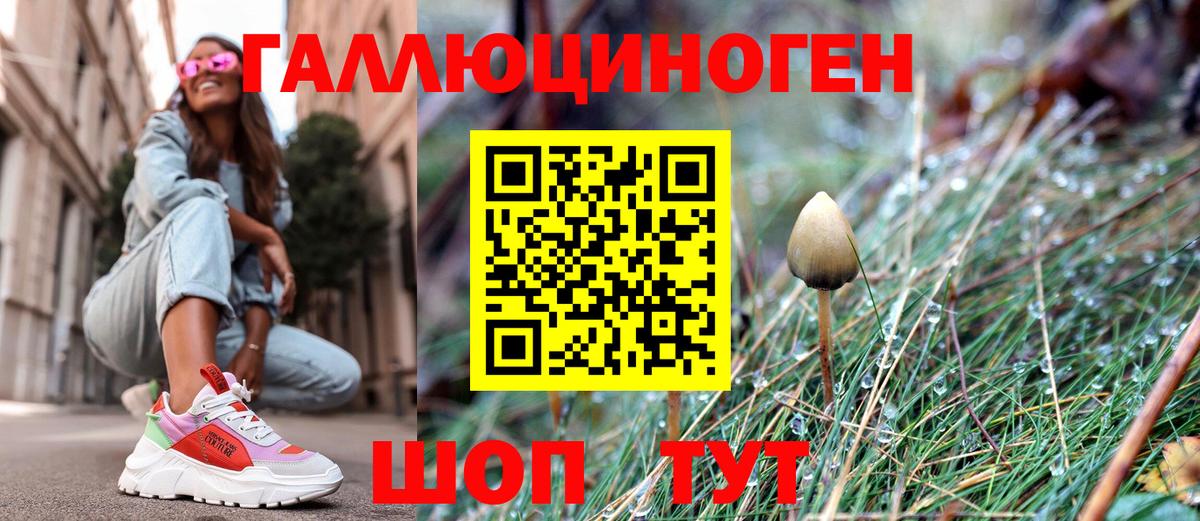 Псилоцибиновые грибы MAGIC MUSHROOMS  наркошоп  Елец  Псилоцибиновые грибы Psilocybe  Вход с VPN 